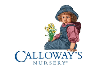 Calloway's Nursery Calloway's Nursery